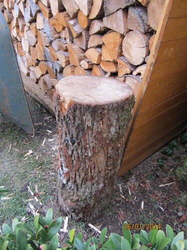 Hackklotz hauklotz spaltklotz - hauklotz,